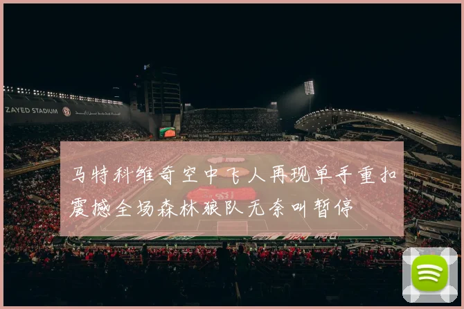 马特科维奇空中飞人再现单手重扣震撼全场森林狼队无奈叫暂停