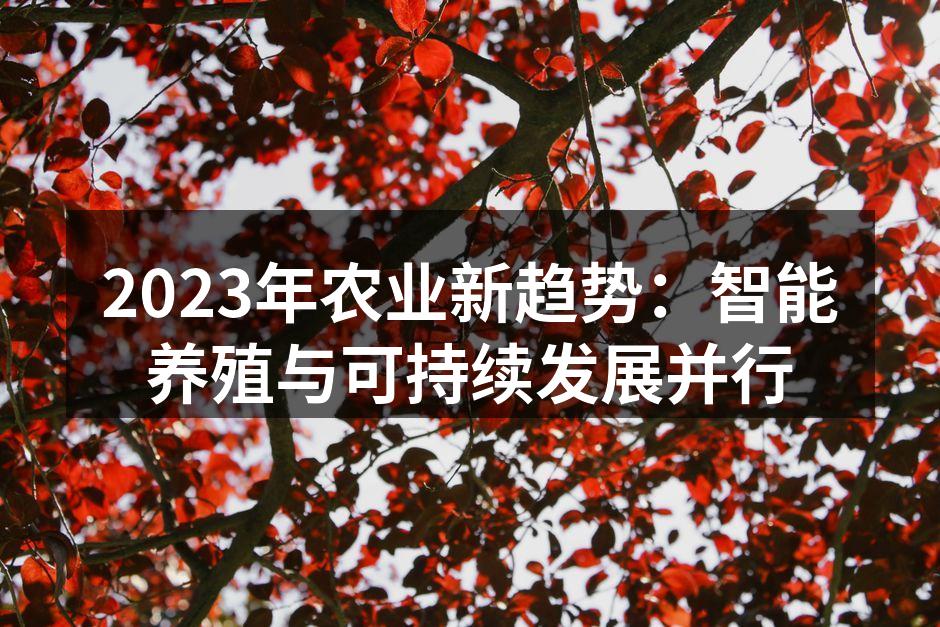 智能养殖技术提升生产效率